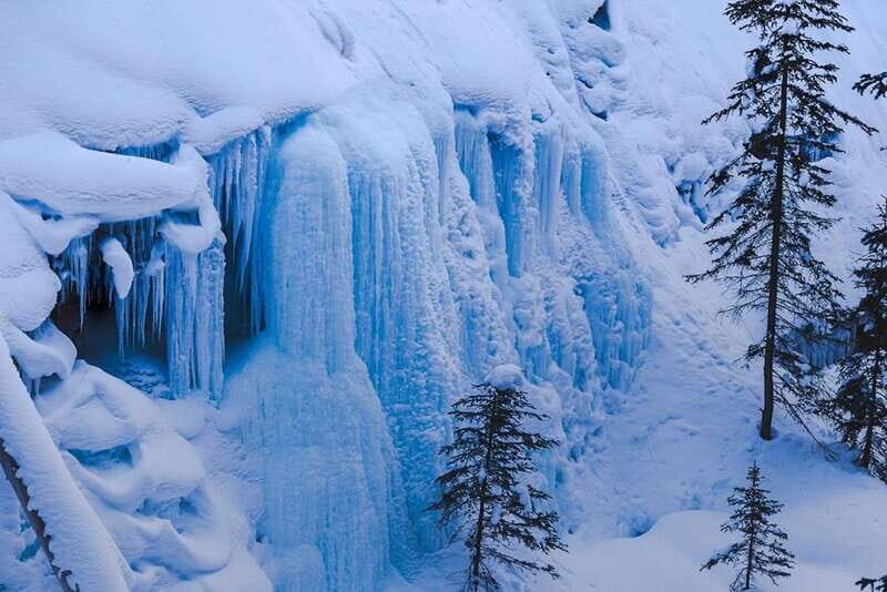 From Banff: Winter Wonderland; Lake Louise & Johnston Canyon - Wildlife sightings: when you should actually look