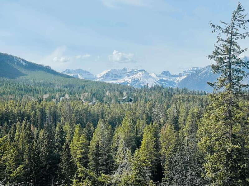 From Calgary: Banff, Moraine Lake and Lake Louise Tour - Bow Falls and Banff viewpoints: short stops that pay off if you’re ready