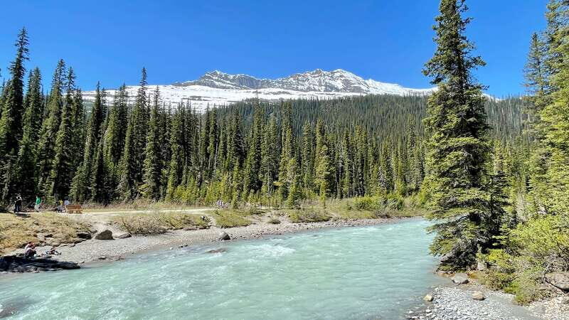 From Calgary: Banff & Yoho National Parks Private Day Tour - Takakkaw Falls: the sound and scale you can’t fake