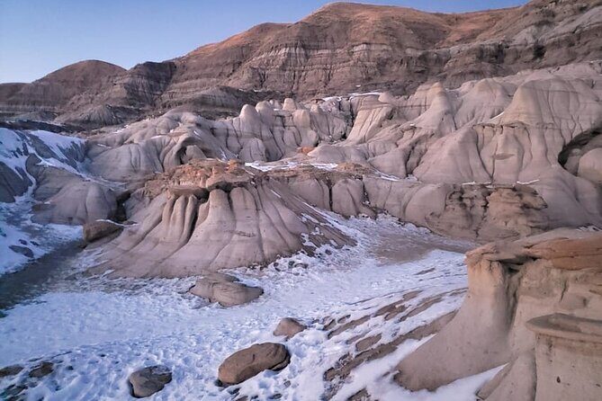 From Calgary: Drumheller Badlands Private Tour (Small Group) - The World’s Largest Dinosaur: a quick climb that pays off
