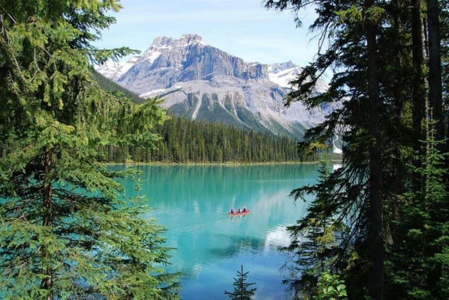 From Calgary: Explore 4 Stunning Lakes in Banff & Yoho - Peyto Lake: the turquoise viewpoint that sells the dream