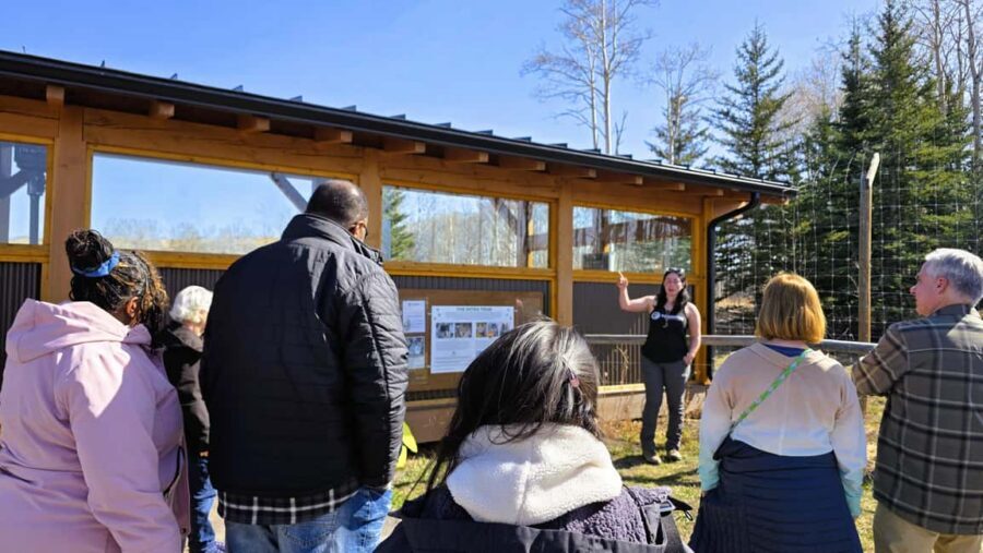 From Calgary to Banff: Day Trip with Wolfdog Sanctuary Visit - Key takeaways for a Calgary to Banff day