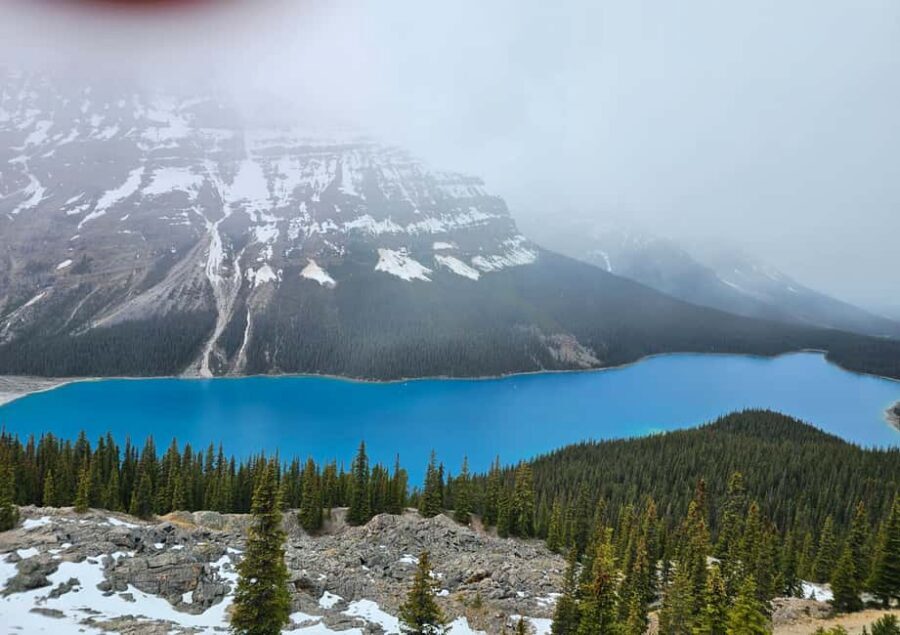 From Canmore/Banff: Icefields Parkway & Abraham Lake Bubbles - Abraham Lake: Ice Bubbles, Science, and Photo Time