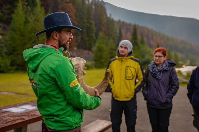 From Jasper: Jasper National Park Wildlife Discovery Tour - Jasper Pickup, the 30-Minute Lead-In, and Settling In