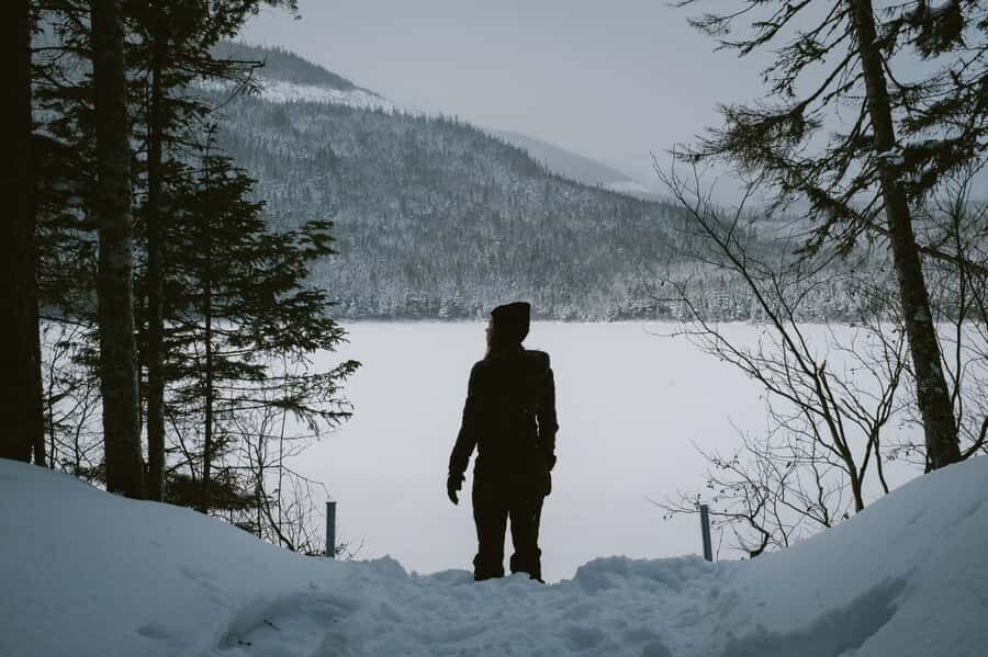 From Montreal: Mont-Saint-Bruno National Park Snowshoe Hike - Timing That Works: How Your Day Flows (and Why It’s Stress-Free)