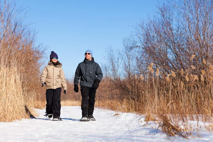From Montreal: Mont-Saint-Bruno National Park Snowshoe Hike - The Trails You’ll Actually Use: L’Hermine and La Chouette