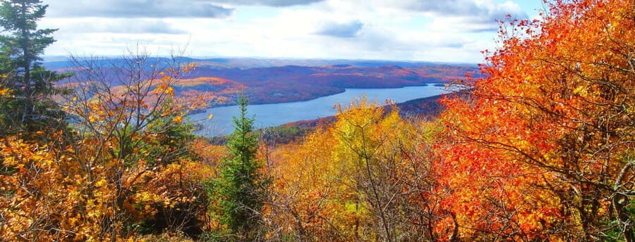 From Montréal: Mont-Tremblant 1-Day Tour - Saint-Sauveur cathedral and alleys: the town reset at day’s end