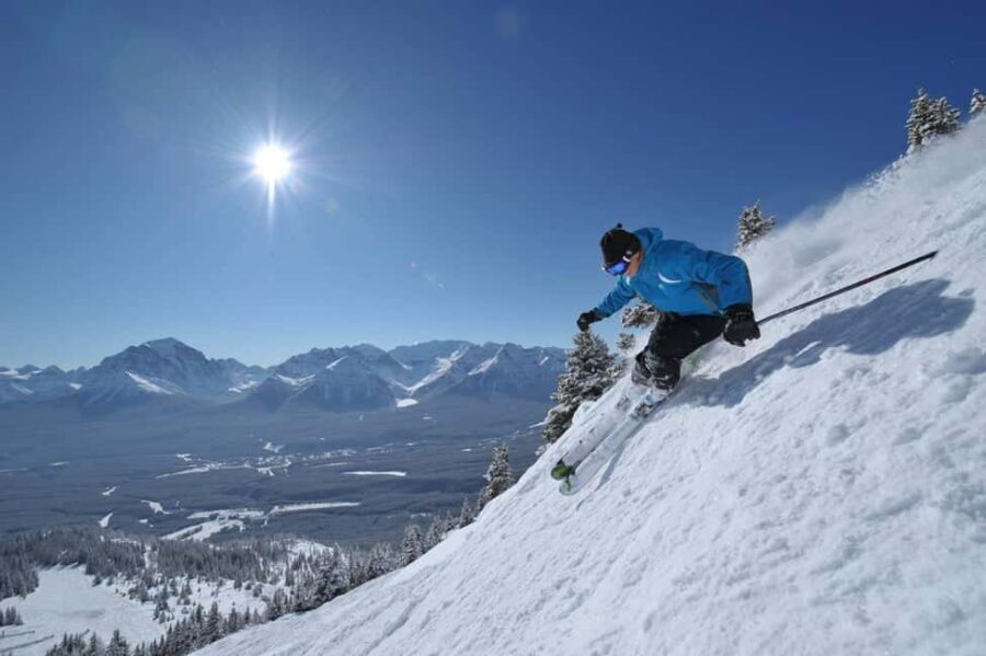 From Montréal: Mont-Tremblant 1-Day Tour - Sentier des Cimes Laurentides: treetops, observation tower, 360 views