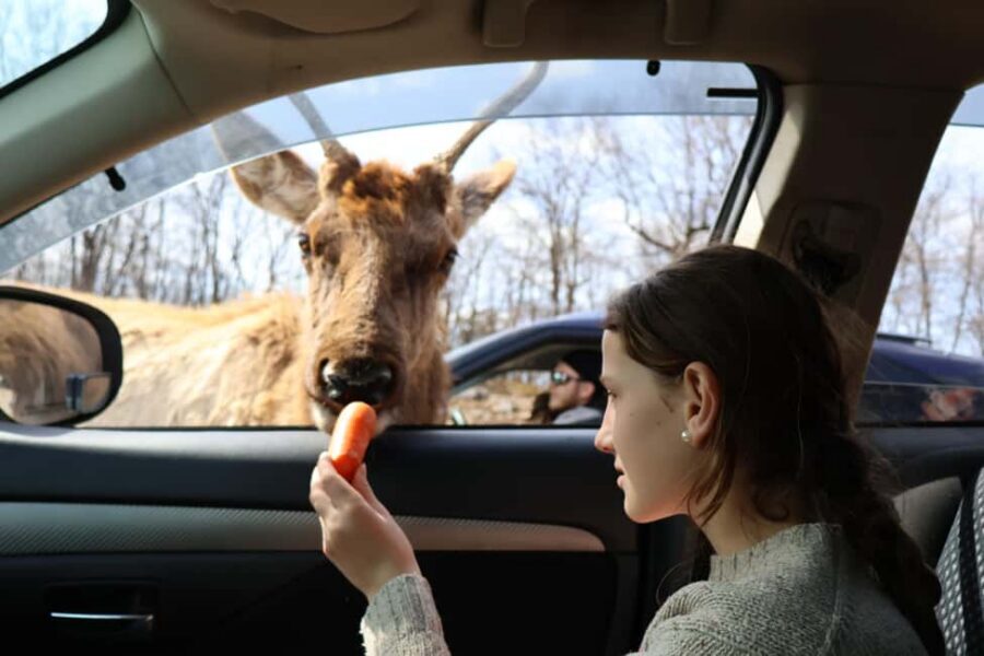 From Montreal: Omega Park Wildlife Safari Calling Sounds - Montreal Pickup and the Scenic Drive Toward Omega Park
