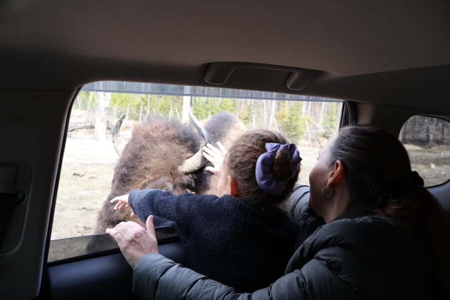 From Montreal: Omega Park Wildlife Safari Calling Sounds - How the Animal Sound Devices Change What You Notice