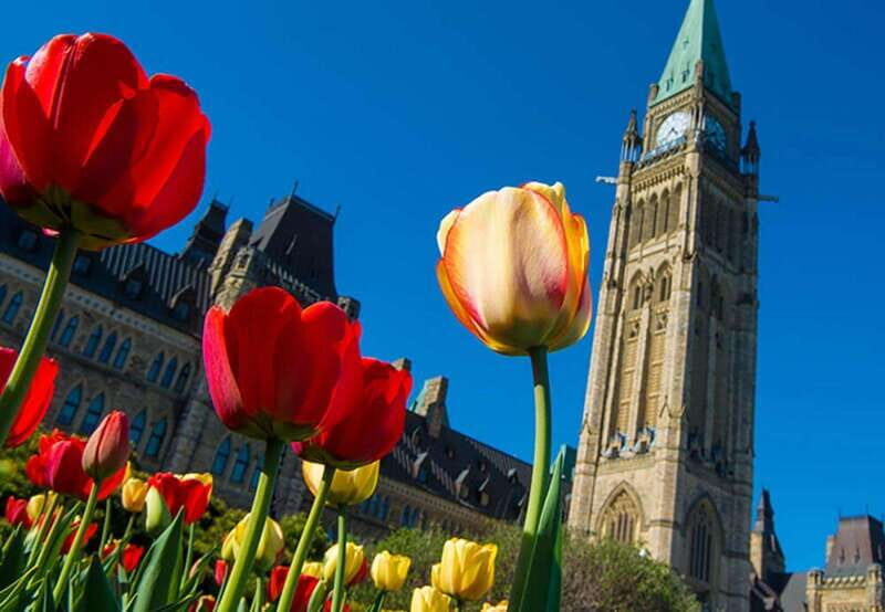 From Montreal: Private Ottawa Full Day Tour - Ottawa Highlights You’ll Actually Get to See