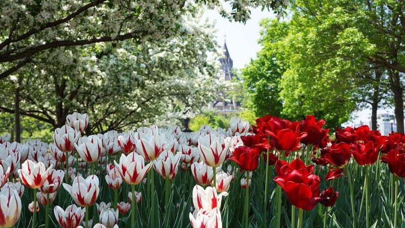 From Montreal: Private Ottawa Full Day Tour - Getting Picked Up Right: Hotel Pickup and Smooth Start