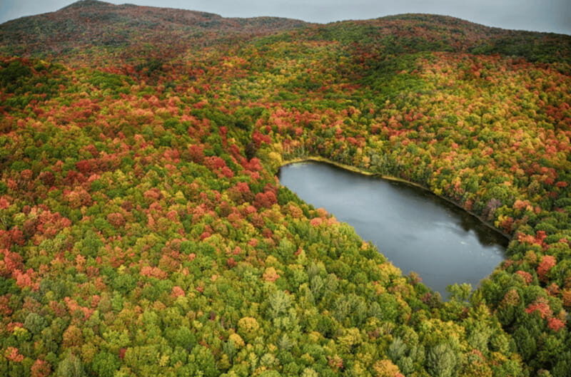 From Montreal: Scenic Montérégie Helicopter Tour - Who Should Book It (and Who Should Think Twice)