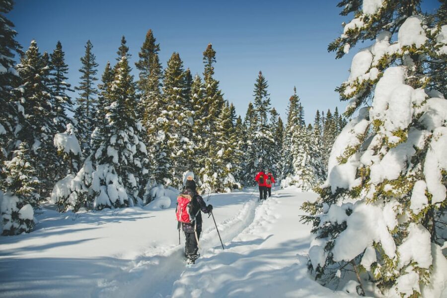 From Montreal: Sept-Chutes Regional Park Hike - Choosing your route: the Mont-Brassard loop idea that works