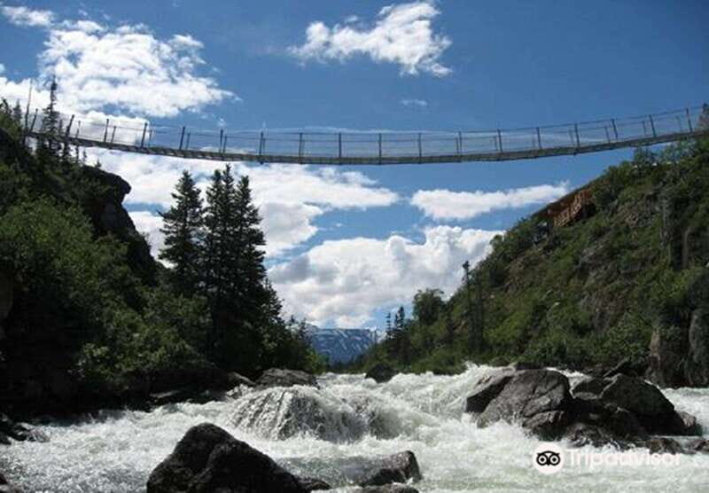 From Skagway: White Pass and Yukon Suspension Bridge Tour - Tormented Valley tundra and Summit Lake: the scenery shift you came for