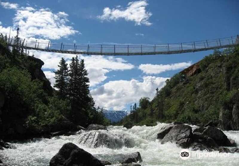 From Skagway: White Pass and Yukon Suspension Bridge Tour - Wildlife spotting on the Tutshi River: how to do it without wasting time
