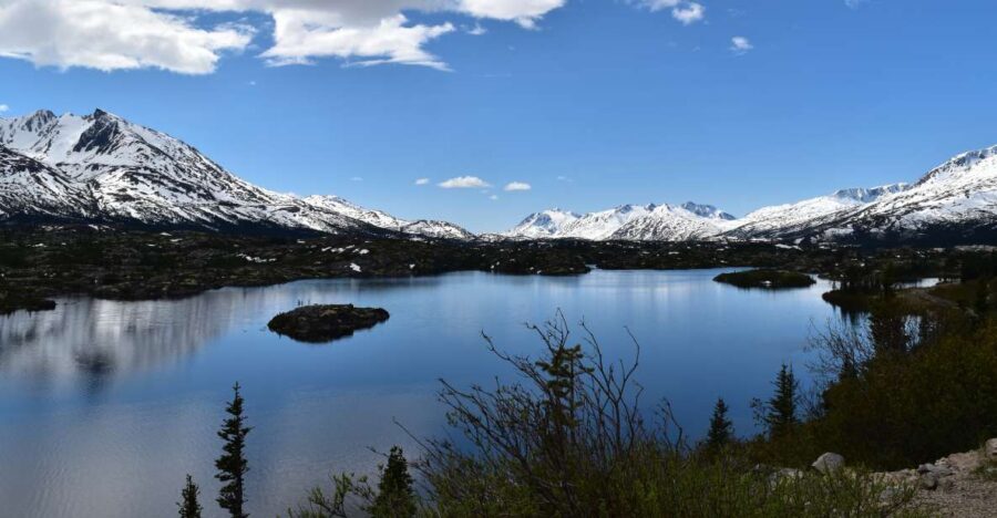 From Skagway: White Pass Summit Guided Bus Tour - Key highlights you’ll care about