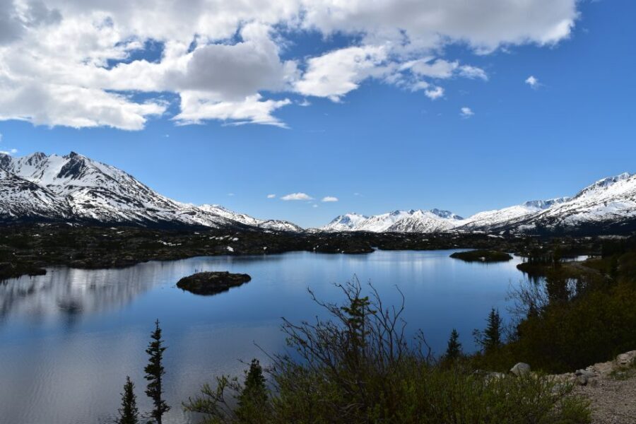 From Skagway: White Pass Summit Guided Bus Tour - Wildlife along the route: when you might spot more than scenery