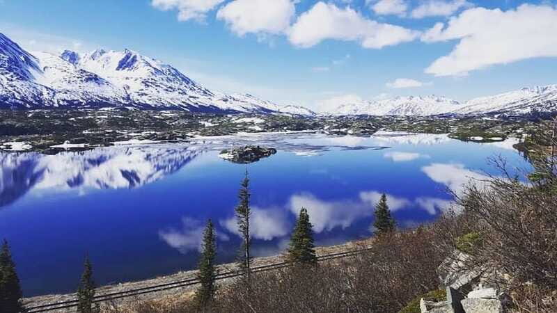 From Skagway: Wild Adventure Yukon Day Trip with BBQ Lunch - Price and Value: Is $169 Worth It for Your Day in Port?