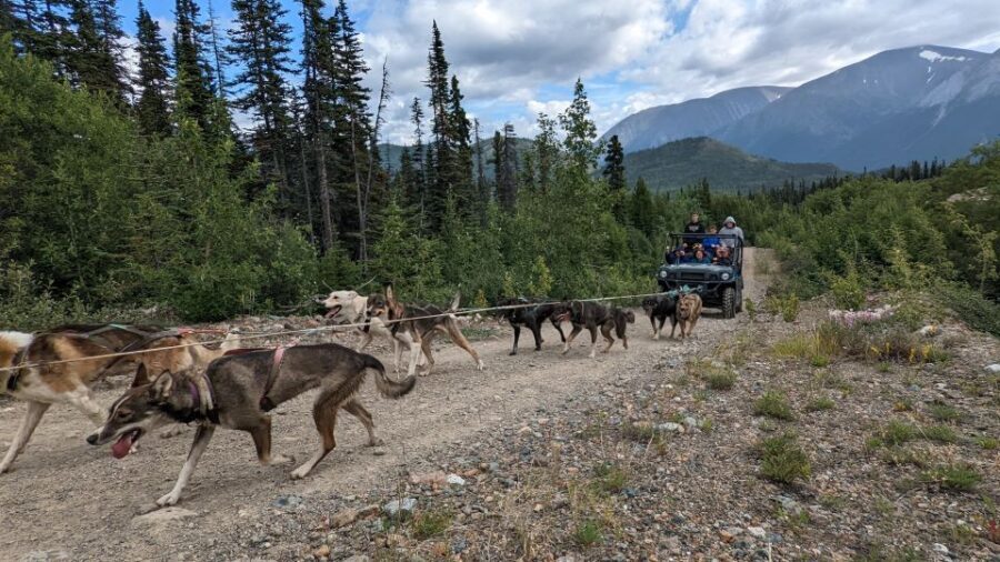 From Skagway: Yukon Sled Dog Mushing & White Pass Combo - What to bring for a smooth day (and fewer surprises)
