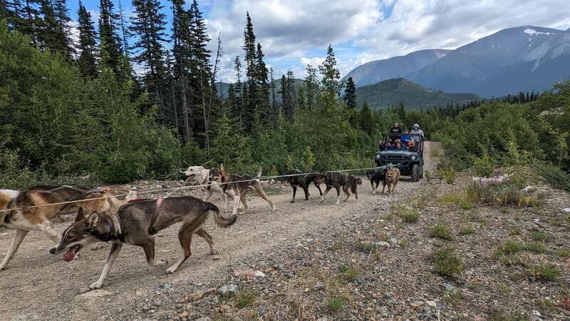 From Skagway: Yukon Sled Dog Mushing & White Pass Combo - Canada Customs and the shift to Yukon Territory