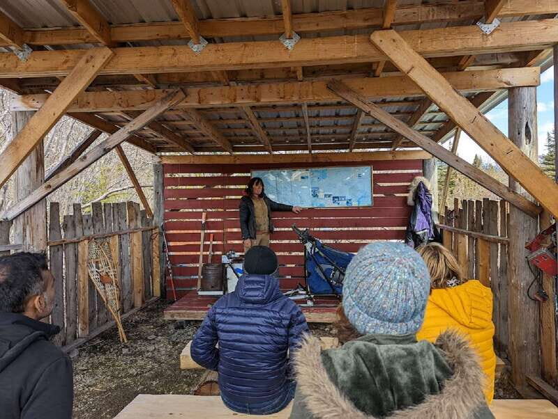 From Skagway: Yukon Sled Dog Mushing & White Pass Combo - Tutshi Dog Sledding Camp: the best part is the mushers running the show