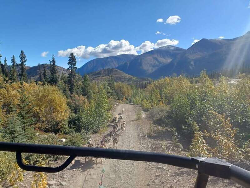 From Skagway: Yukon Sled Dog Mushing & White Pass Combo - Time, price, and value: is $194 really enough?
