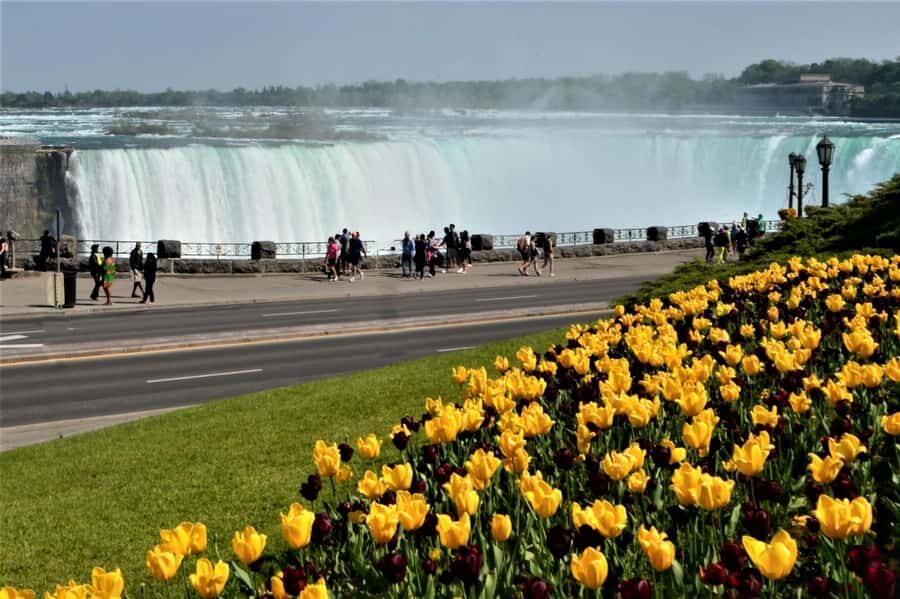 From Toronto: Niagara Falls Private Sightseeing Tour - Lunch Strategy: Choose Your Spot, Keep the Flow