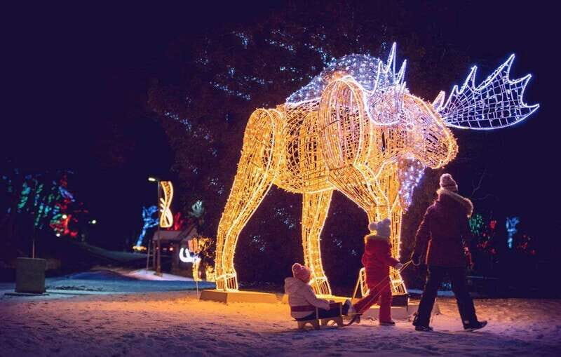 From Toronto: Winter Festival of Lights Niagara Falls Tour - Niagara Parkway stops that actually help you plan your evening