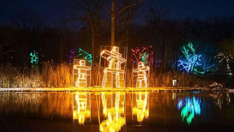 From Toronto: Winter Festival of Lights Niagara Falls Tour - Niagara Falls Winter Festival of Lights: what the 3 million lights look like in motion