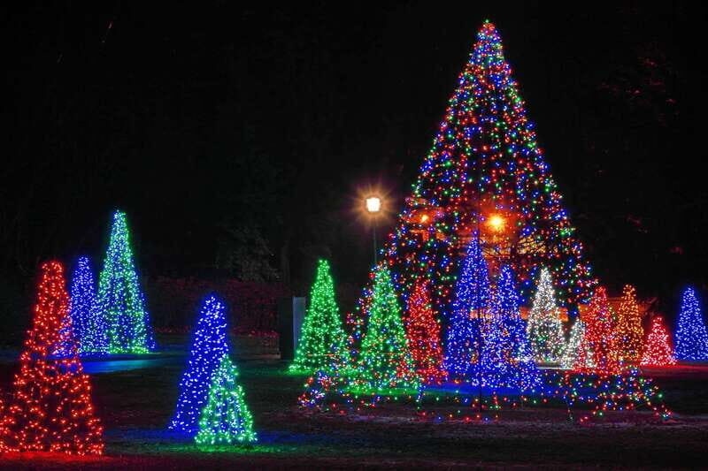 From Toronto: Winter Festival of Lights Niagara Falls Tour - Skip-the-line ticketing and the role of your guide