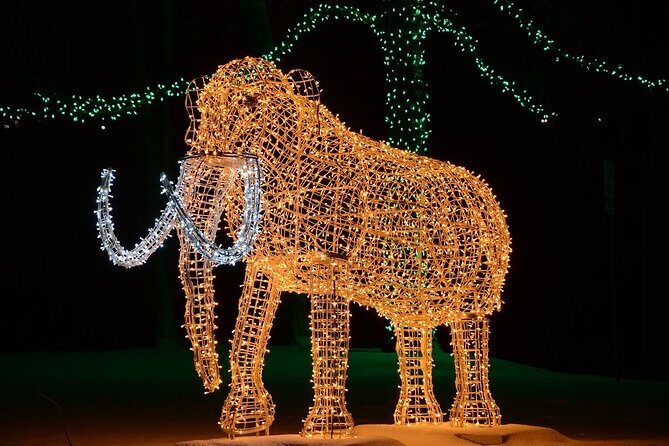 From Toronto:Winter Festival of Lights Niagara Falls Evening Tour - How the day flows: from Toronto to Falls lights (without stress)