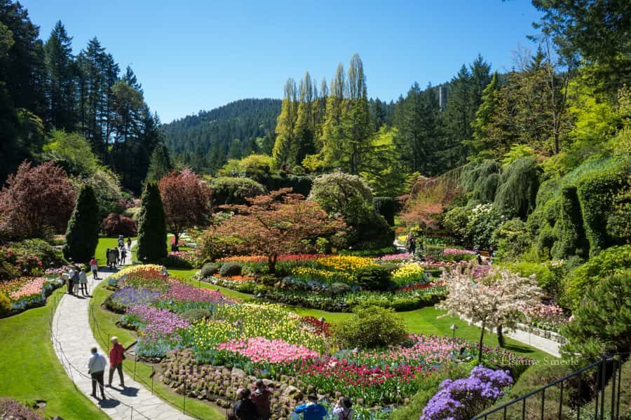 From Vancouver: Butchart Gardens & Victoria Sightseeing Tour - Key things I’d circle before you go