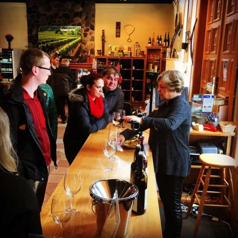 From Vancouver: Fraser Valley Wine Tour with Local Tastings - Pickup at Lions Pub and the Van-Driven Rhythm of the Day