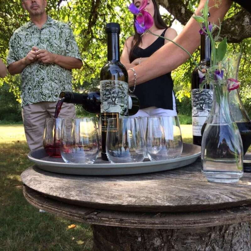 From Vancouver: Fraser Valley Wine Tour with Local Tastings - What’s Included in the Price (and Why $131 Can Feel Fair)