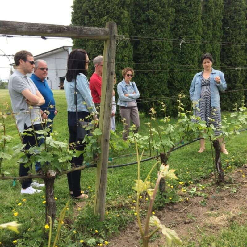 From Vancouver: Fraser Valley Wine Tour with Local Tastings - Pace, Comfort, and the Rules That Affect Planning