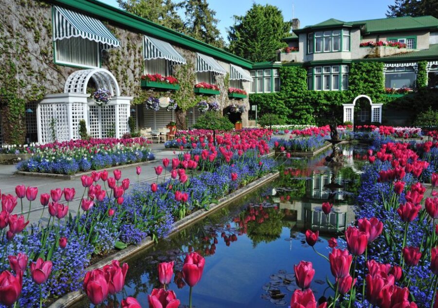From Vancouver: Full-Day Victoria & Butchart Gardens Tour - Price and logistics: what you’re paying for at $223