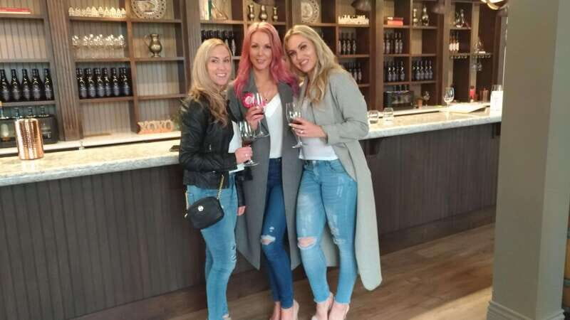 From Vancouver: Half-Day Fraser Valley Wine Tour - Comfort, Group Size, and How the Guide Makes It Worth It