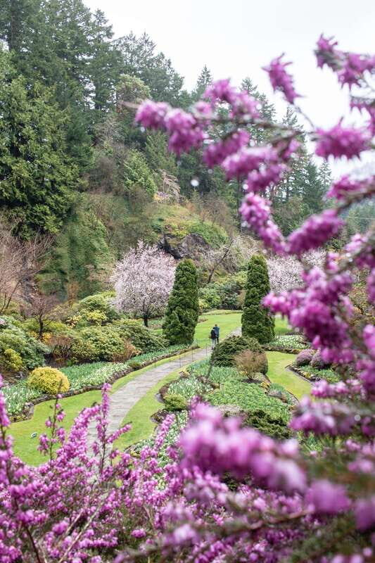 From Vancouver: Victoria, BC Ferry, Butchart Gardens Tour - Price and value: what $182 buys for an 11-hour day
