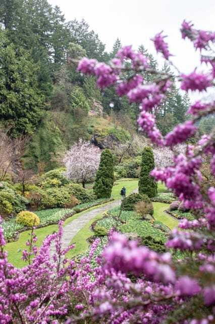 From Vancouver: Victoria, BC Ferry, Butchart Gardens Tour - Should you book the Vancouver to Victoria + Butchart Gardens day trip?