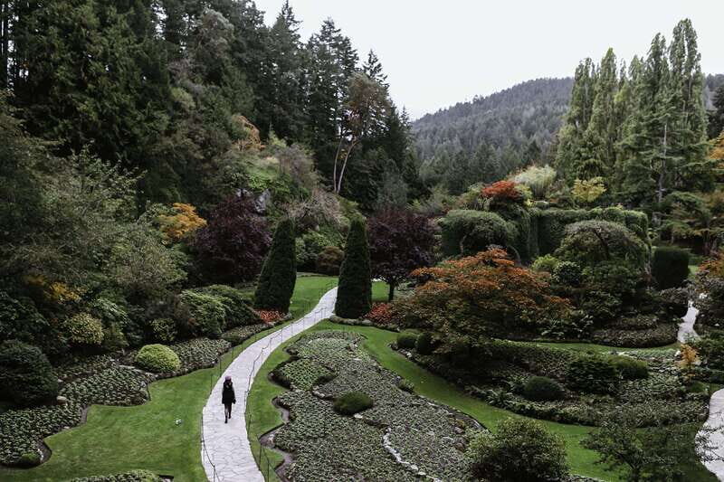 From Vancouver: Victoria, BC Ferry, Butchart Gardens Tour - Getting oriented in Victoria: guided downtown + about 2 hours to roam