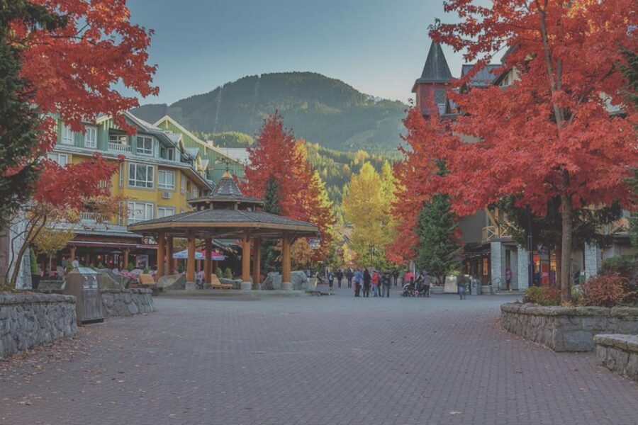 From Vancouver: Whistler and Shannon Falls Private Day Trip - Sea to Sky Gondola: two chances for big views (and a calmer pace)