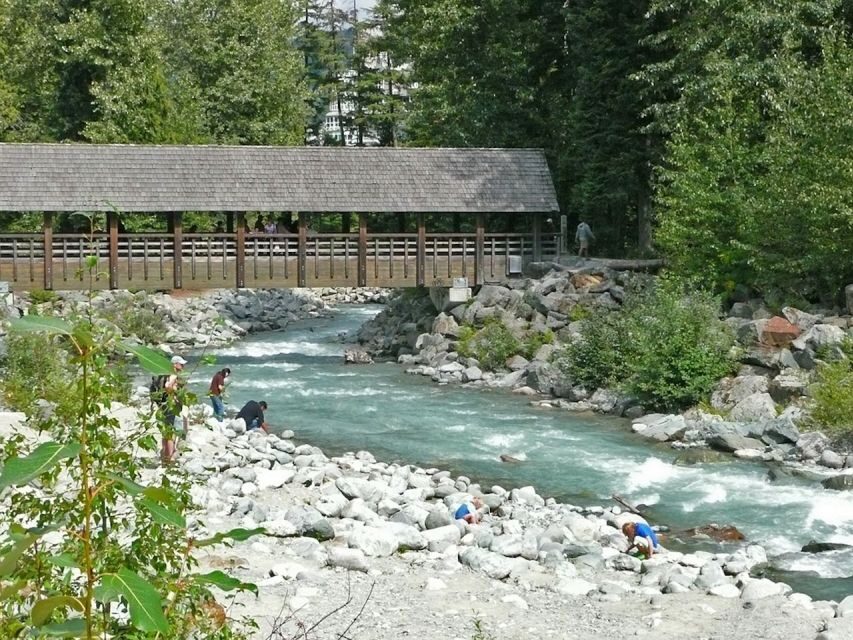 From Vancouver: Whistler and Shannon Falls Private Day Trip - Sky Pilot Suspension Bridge: 100 meters long, 360-degree views, and nerves handled well