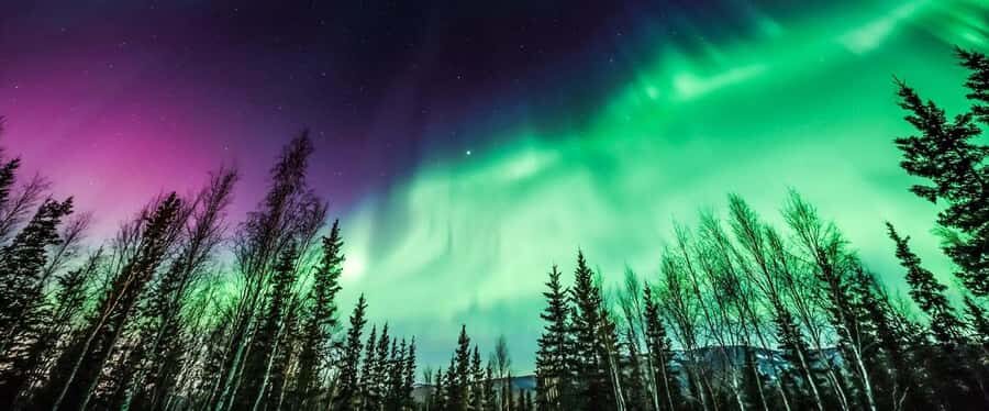 From Yellowknife:4-Day Aurora Viewing Tour with Hotel Pickup - Day 2: A Free Exploration Day Plus City Touring Around Big Slave Lake