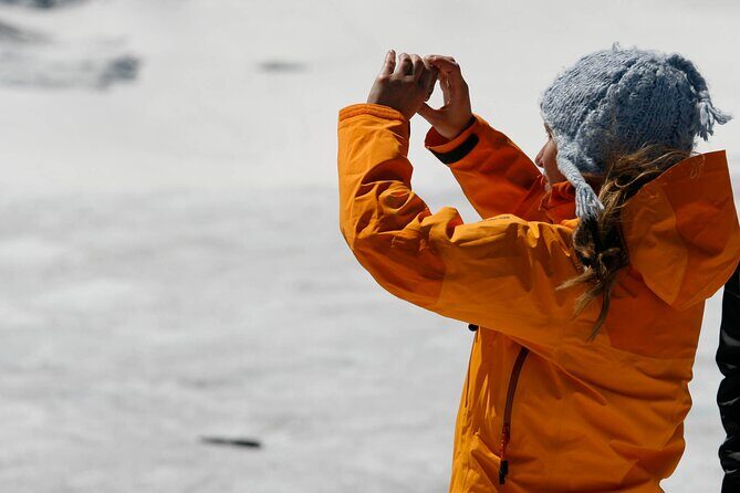 Full Day Guided Glacier Hike on The Athabasca with IceWalks - Guides turn ice into understanding