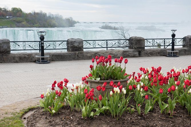 Full-Day Niagara Falls Tour from Toronto w/Boat/JBF/Tower - Lunch and the Niagara-on-the-Lake style bonus time