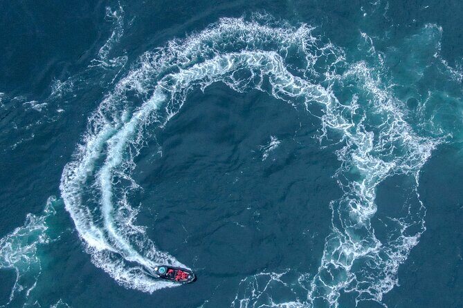 Full Day Whale Watching Campbell River - Price and value at about $266: what you’re paying for