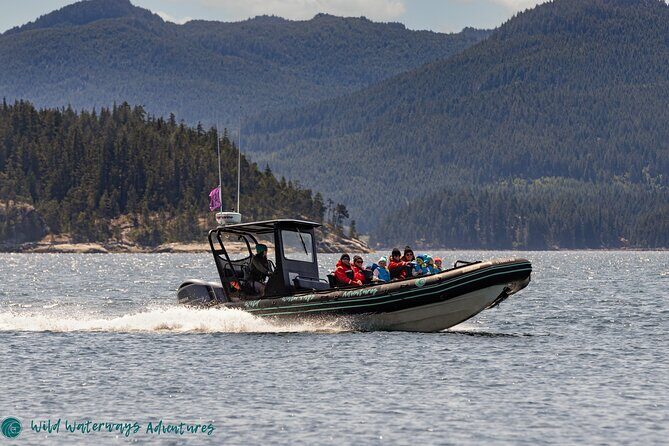 Full Day Whale Watching Campbell River - Whales on the move: humpbacks, orcas, and how the guide choices affect your odds