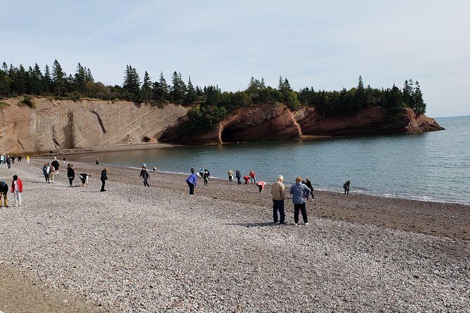 Fundy Coast to Fundy Shore Tour - Meeting at 100 Water St: how to find your group and start smoothly