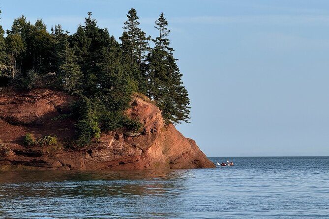 Fundy Shore Tour By Bus - Key highlights you’ll feel on this tour